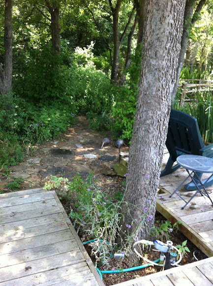 Spotting Image 1