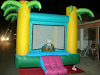 Alquiler De Juego Inflable Para Eventos Y Fiestas