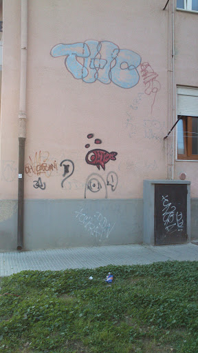 Pesce Rosso Graffiti