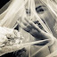 by Robert Evans - Wedding Ceremony
