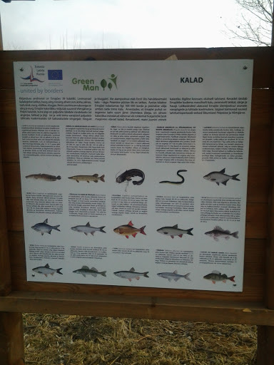 Fishes of the Trail
