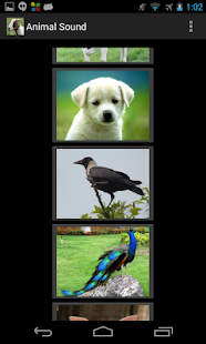 How to get Animal Sounds For Kids 2.0 mod apk for bluestacks