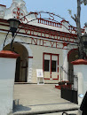 Museo Victoriano Nieves Césped