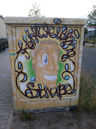 Kohlweißling Grafiti