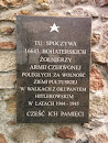 Tablica na cmentarzu wojennym w Pułtusku
