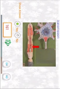 How to mod Anatomy of the Brain flashcard lastet apk for android