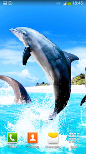 How to install Dolphins Live Wallpaper 2.0 apk for pc