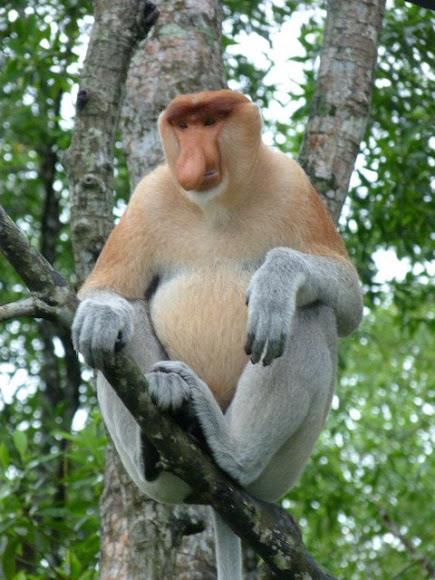 Spotting Image 1