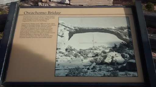 Owachomo Bridge Information