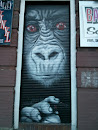 The Monkey of Kreuzberg