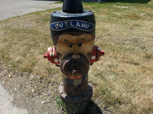 Painted Hydrant Outlaw