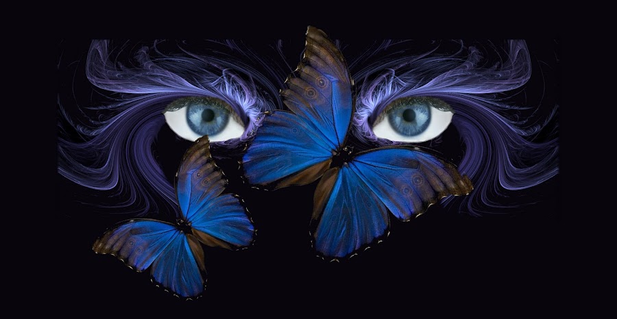 Butterfly Eyes by Carmen Velcic - Digital Art People ( eyes butterfly abstract blue )