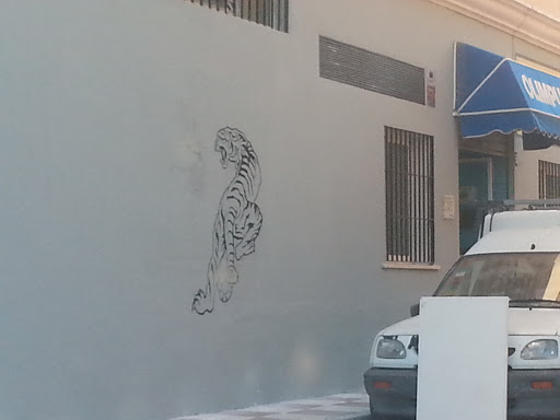 graffiti el tigre