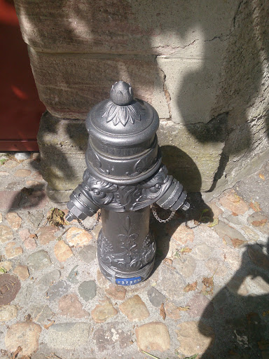An Künstvolle Hydrant
