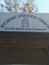 Joy Devine Apostolic Church