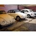 Hermosos Vochos Autos Antiguos