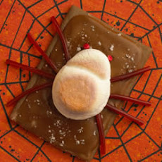 Fudgy, Spooky Spiders