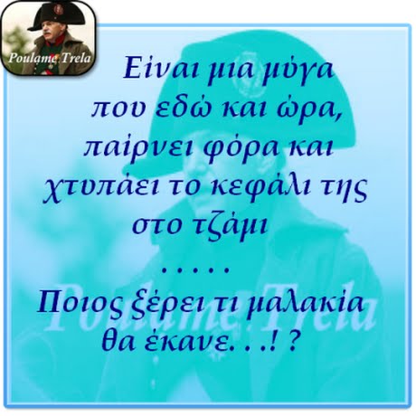 oulame Trela Είναι μια μύγα που εοω και ωρα, παίρνει φόρακαι χτυπαει το κεφαλι της στο τζάμι , Ποιος ξέρει τι μαλακία θα έκανε.. .. ?