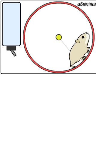 hamster for android screenshot