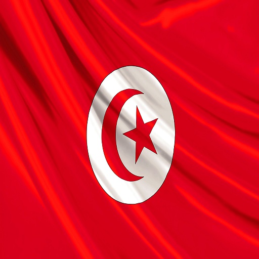 Dico Francais-Tunisien V2 LOGO-APP點子