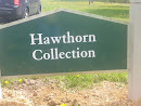 Hawthorne Collection
