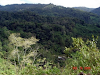 Turrialba`S Farm $550000 Cartago