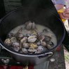 Steamer Clams