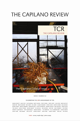 Issue 3.1&2 poster