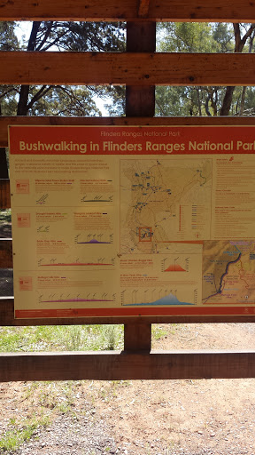 Flinders Ranges Bushwalking