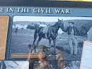 Intelligence in the Civil War 