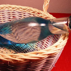 Ocean in a Bottle