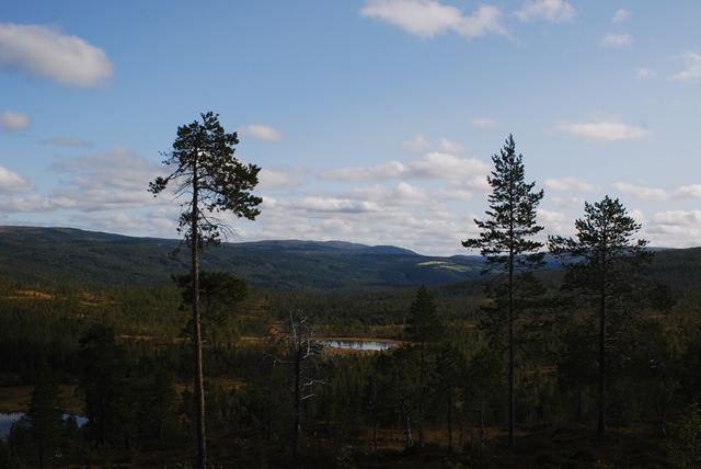 [DSC_0625[3].jpg]