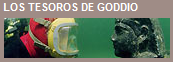 [image3.png]