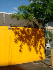 DSCF9396.JPG
