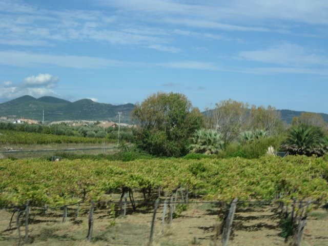[IMG_28624.jpg]