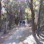 Wentworth Falls lookout... I think... =)