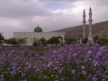 مسجد جامع روستاي احمدمحمودي