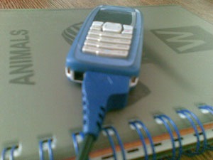 Nokia3100 и CA42