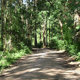 Caminhos