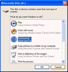 Autorun Prompt Windows