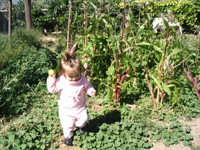 [2006_09_16 013[3].jpg]
