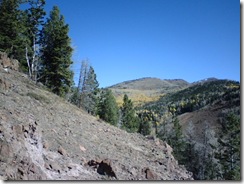 2008_10_10 005