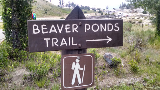 Beaver Ponds Trail
