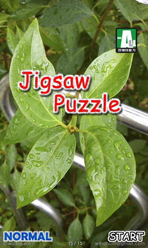 Jigsaw Puzzle