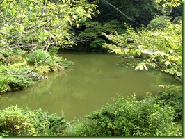 PICT0164