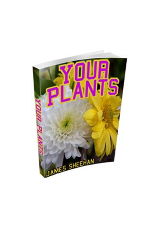 Your Plants by James Sheehan