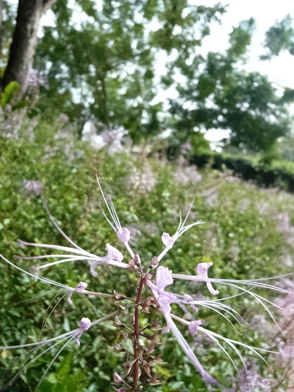 [P10208174.jpg]