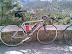 My Roark after getting me up the Puig Major, the highest
peak on Mallorca, training ground of Jan Ullrich.
- Steve McKeever