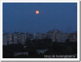 P1100800_600x600_100KB
