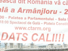 P1100794_600x600_100KB